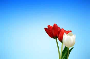 ddos在线压力测试平台