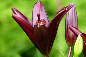 ip攻击器网页版