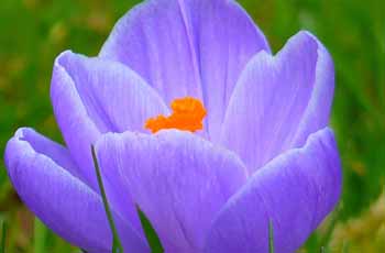 安卓ddos攻击工具