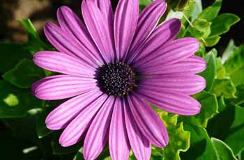 自动化部署的网站攻击测试