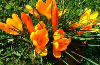 网页DDOS攻击平台