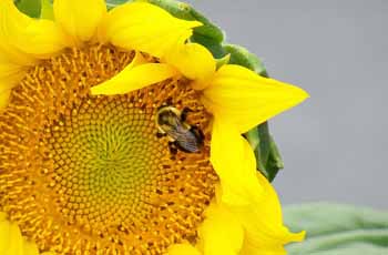 如何购买保障的ddos攻击