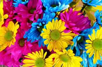 安卓ddos攻击工具