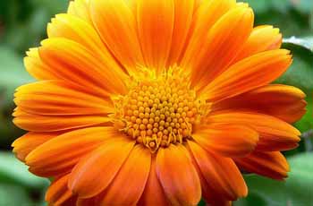 急需要购买的ddos压力在线测试平台